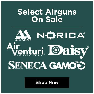 Mid-Winter Airgun Sale!