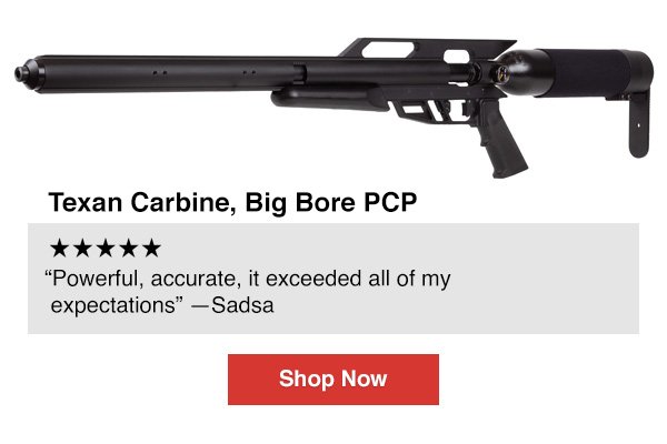 AirForce Texan Carbine, Big Bore PCP