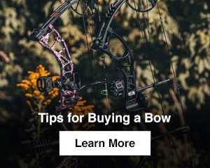 Tips for Buying a Bow