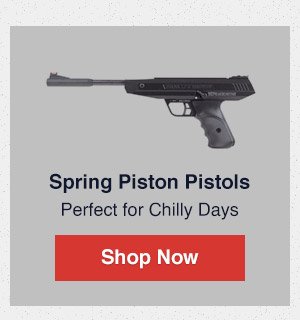 Spring Piston Pistols