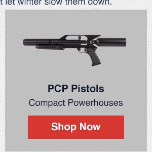 PCP Pistols