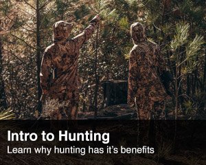 Intro to Hunting