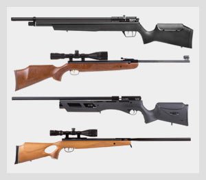 The Best Air Rifles For Hunting Small Game