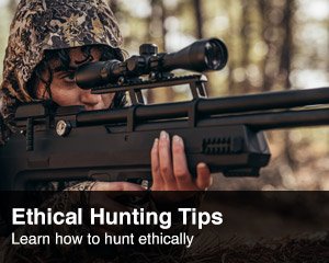 Ethical Hunting Tips