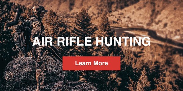 Air Rifle Hunting Guide
