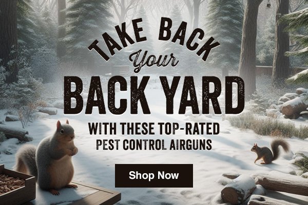 Take Back Your Back Yard! Shop Our Top-Rated Pest Control Airguns.