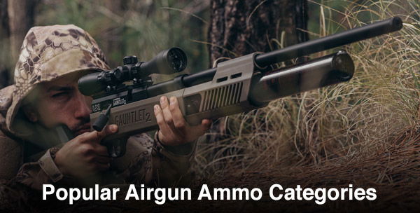 Airgun Ammo