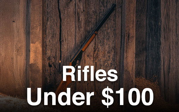 Air Rifles Under \\$100