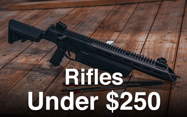 Air Rifles Under \\$250