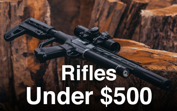 Air Rifles Under \\$500