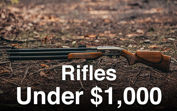 Air Rifles Under \\$1,000