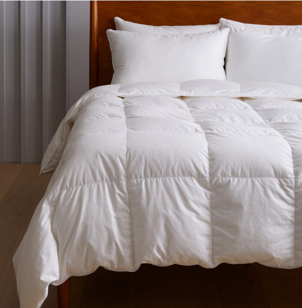 UPGRADE YOUR COMFORTER & PILLOWS