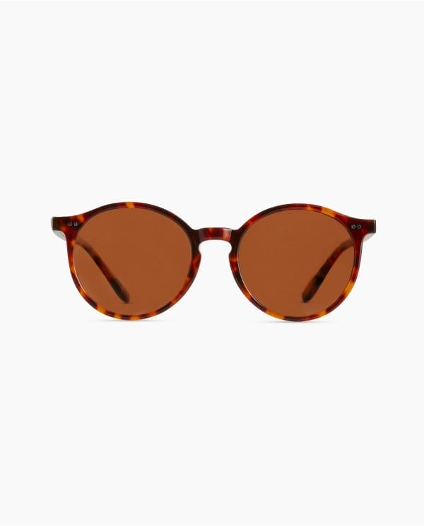 Brixton Polarized Acetate Sunglasses