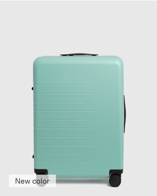 Check-In Hard Shell Suitcase - 24