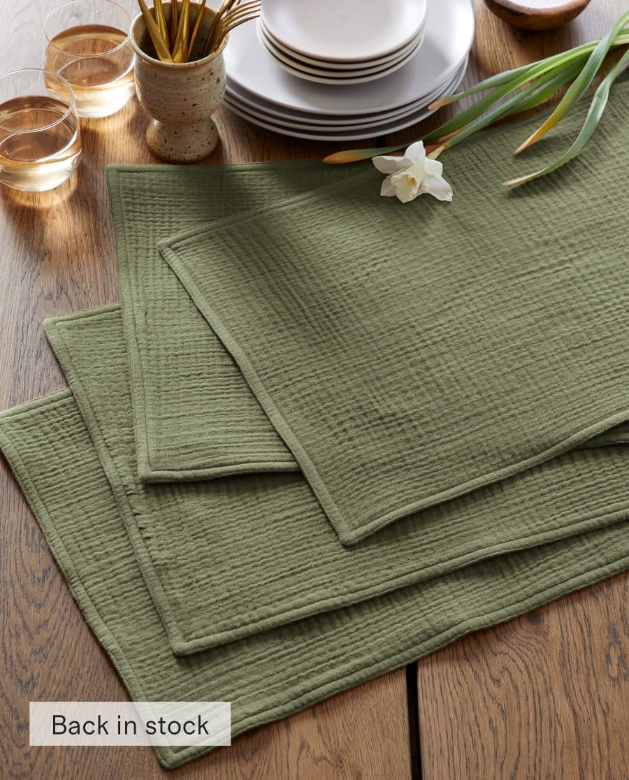 Organic Airy Gauze Placemats (Set of 4)