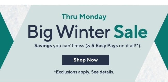 big winter sale 