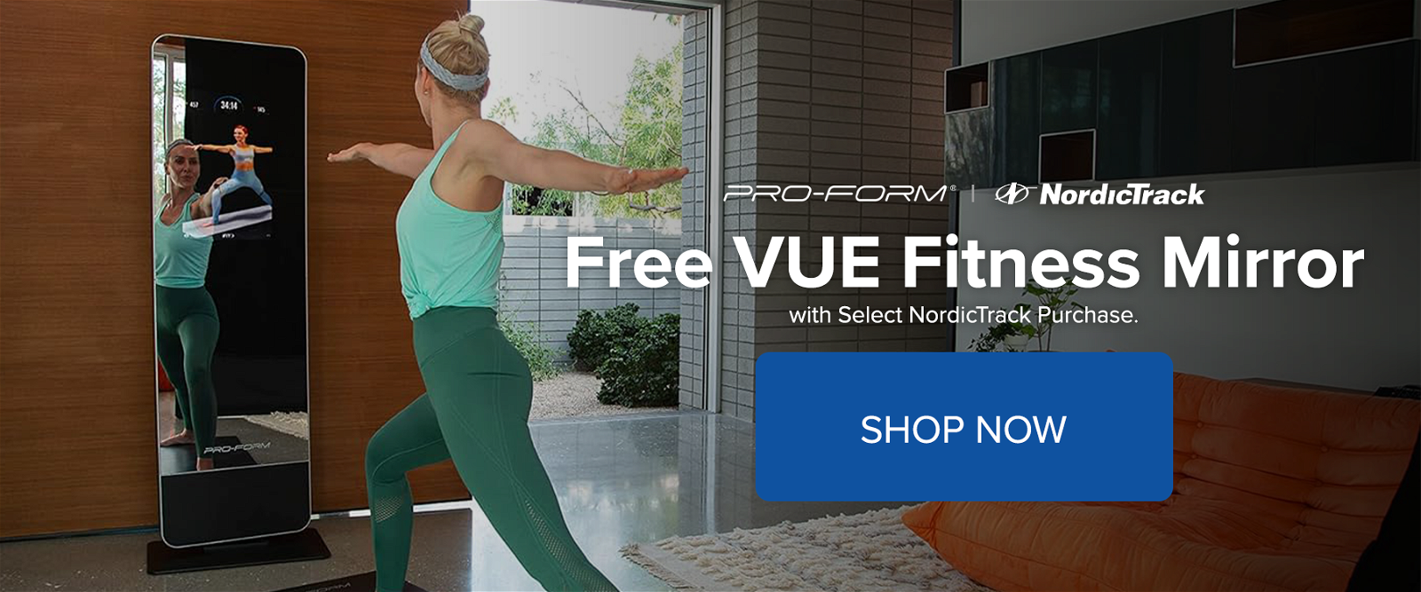 Vue Fitness Mirror Offer