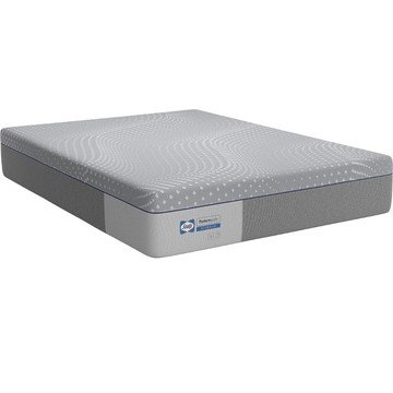 Sealy Elsanta Hybrid Firm Queen Mattress