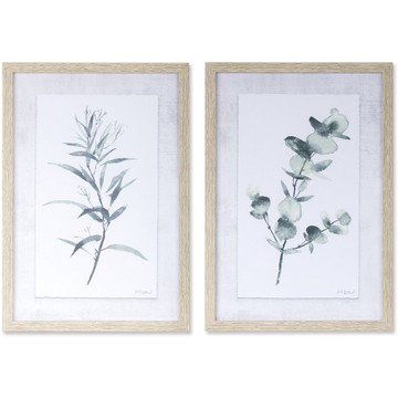 Assorted Eucalyptus Framed Art