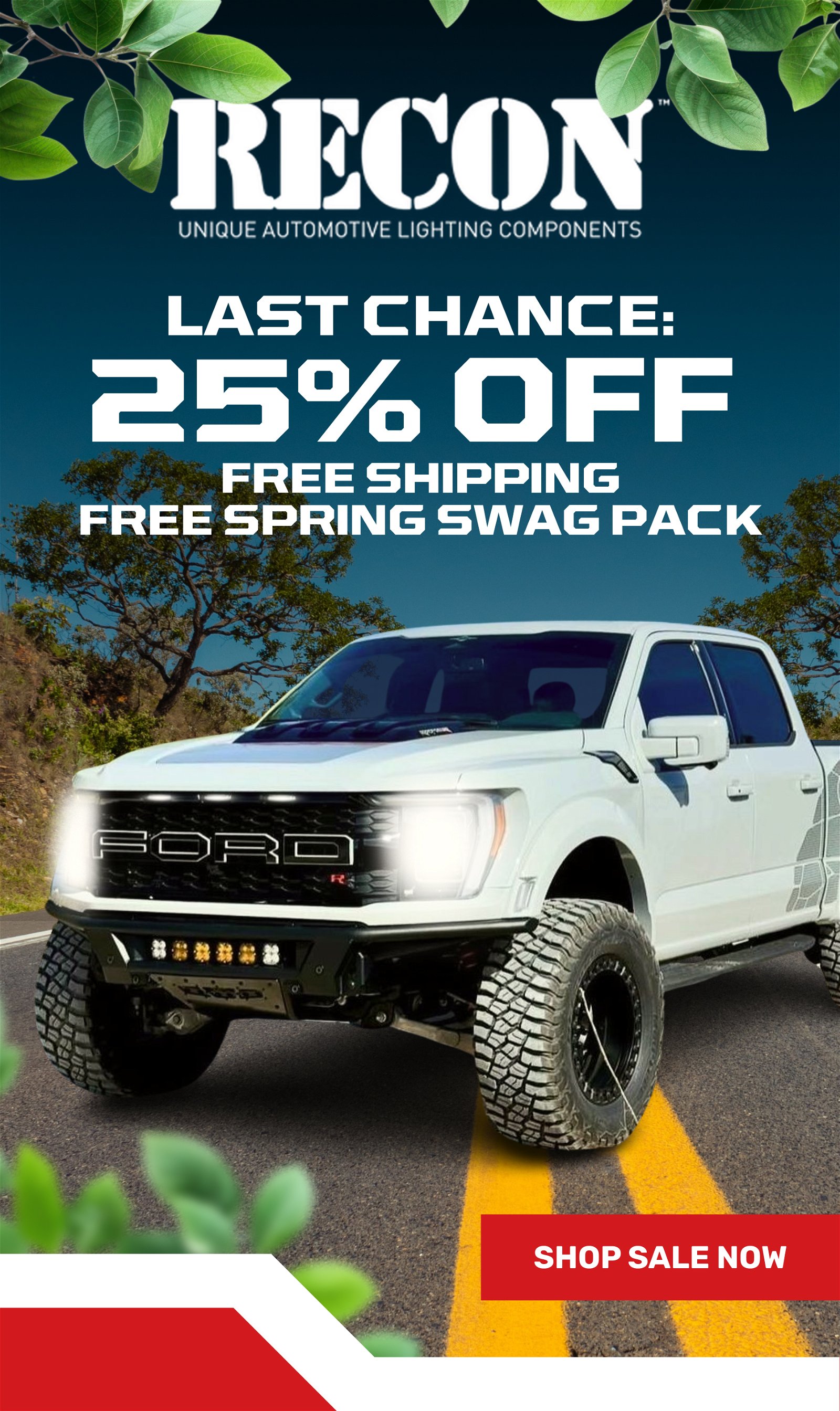 LAST CHANCE: 25% OFF, FREE SHIPPING, FREE SPRING SWAG PACK