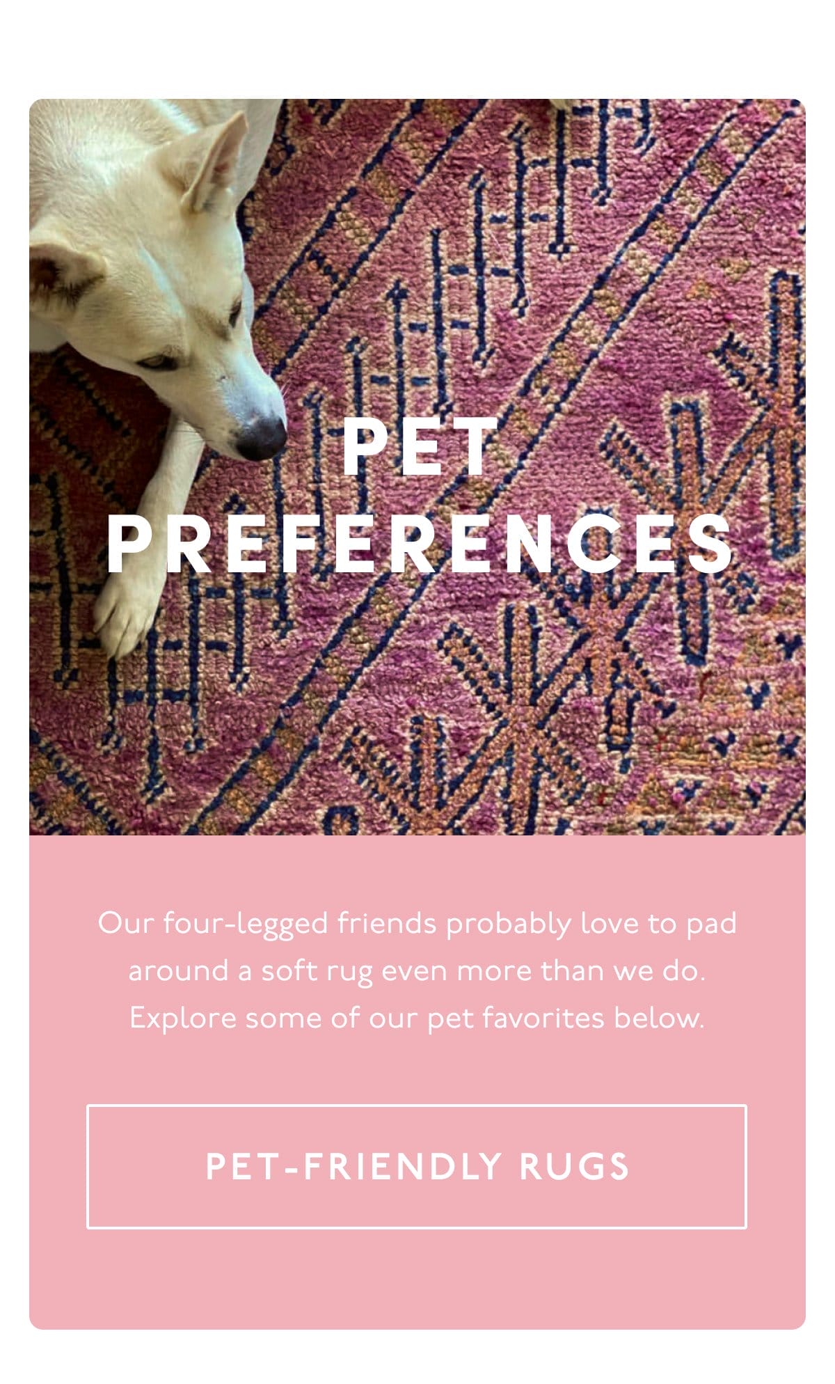 Pet-Friendly Rugs