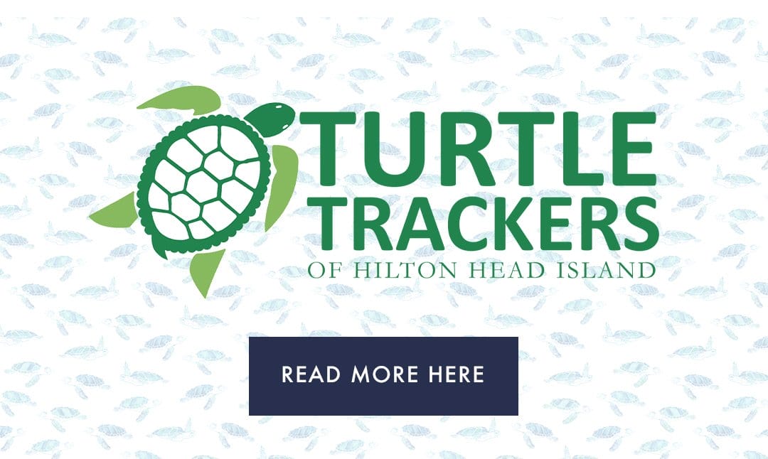 Turtle Trackers of HHI | Read More