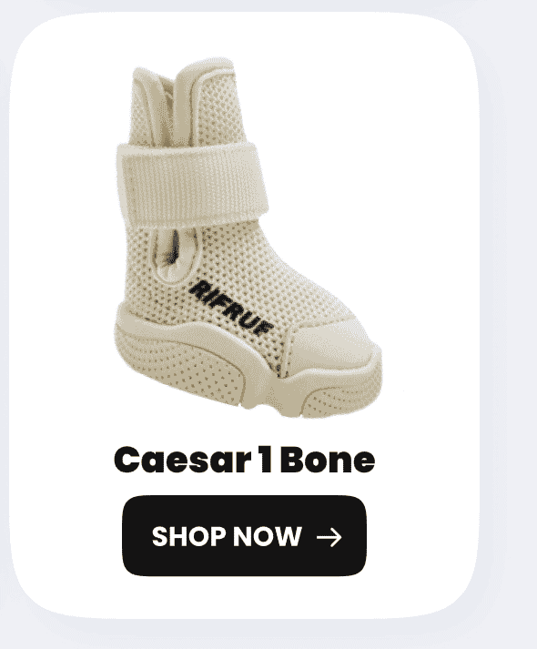 Caesar 1 Bone