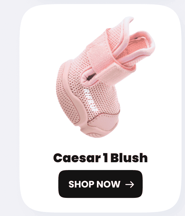Caesar 1 Blush