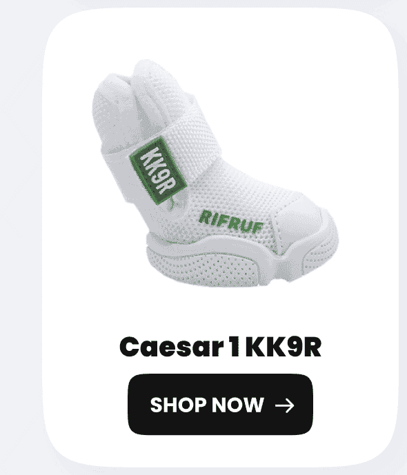 Caesar 1 KK9R