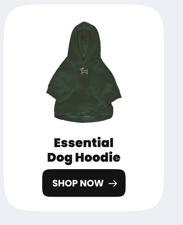 Dog Hoodie