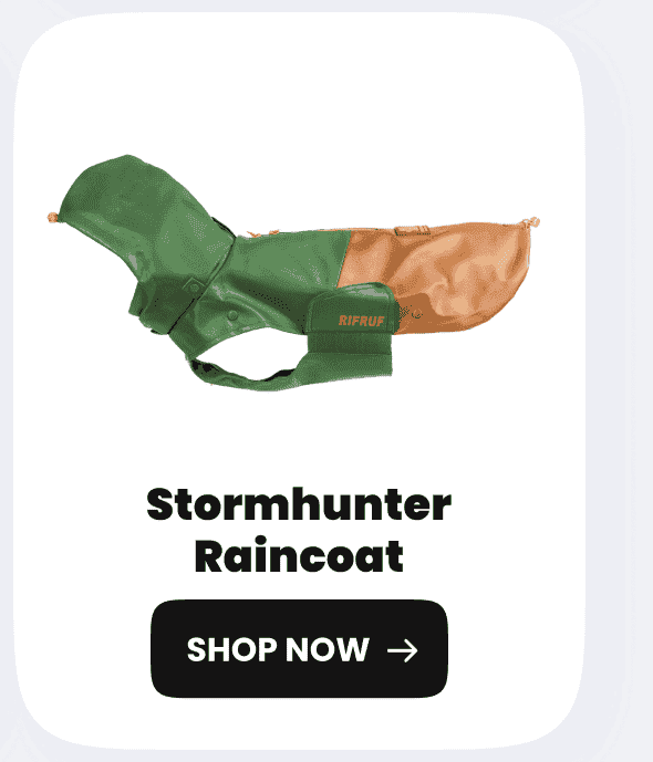 Stormhunter Raincoat