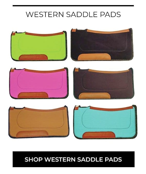 Shop Western Tack