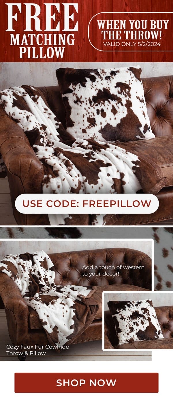 Buy the throw, get the pillow free