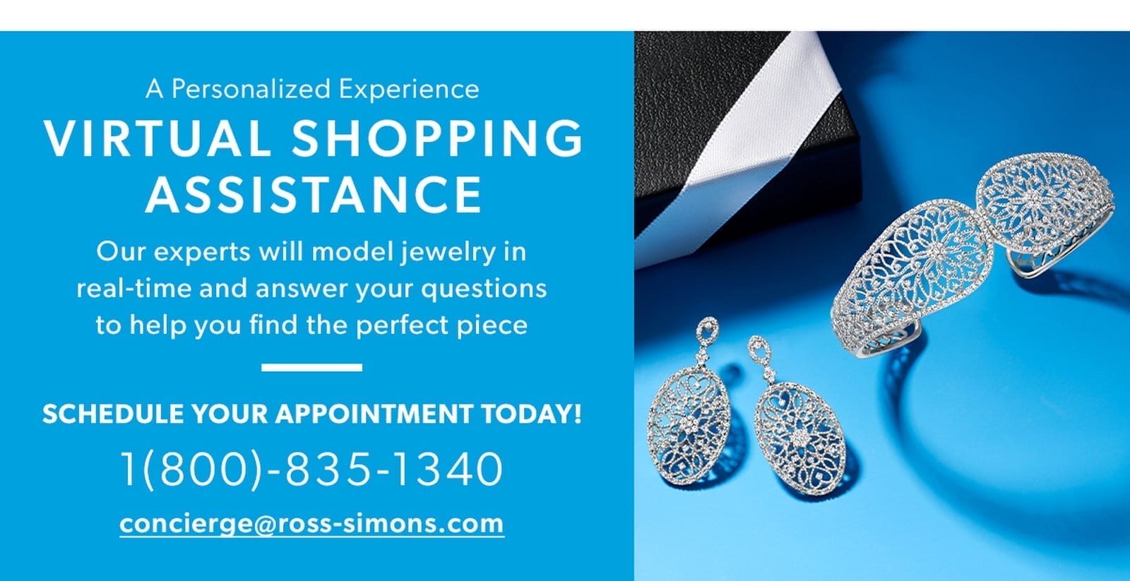 Virtual Shopping Assistance