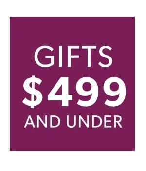 Gifts \\$499 And Under