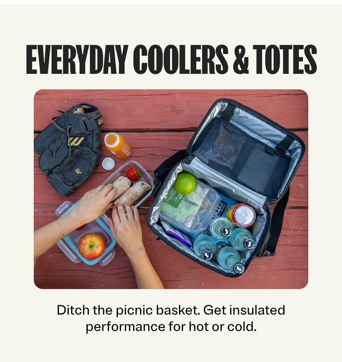 Everday Coolers & Totes