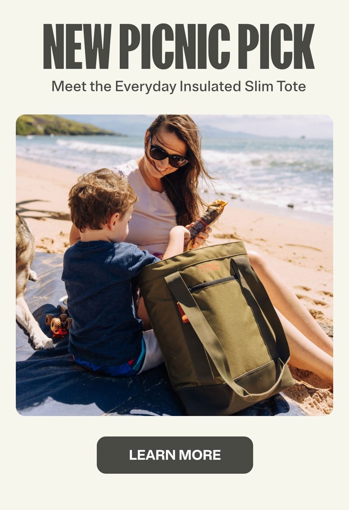 NEW PICNIC PICK | Meet the Everyday Insulted Slim Tote | LEARN MORE 