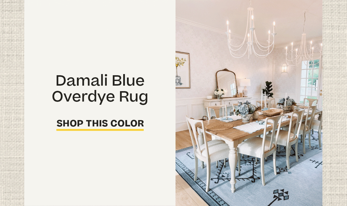 Damali Blue Overdye Rug