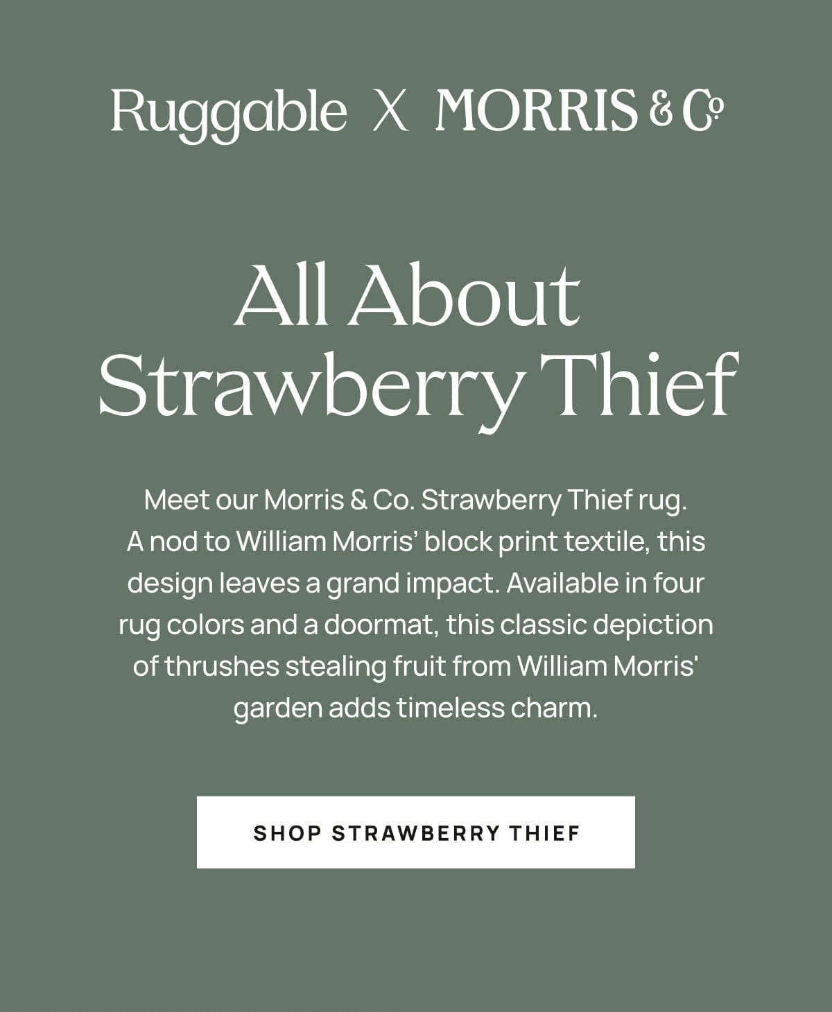 Shop Strawberry Thief