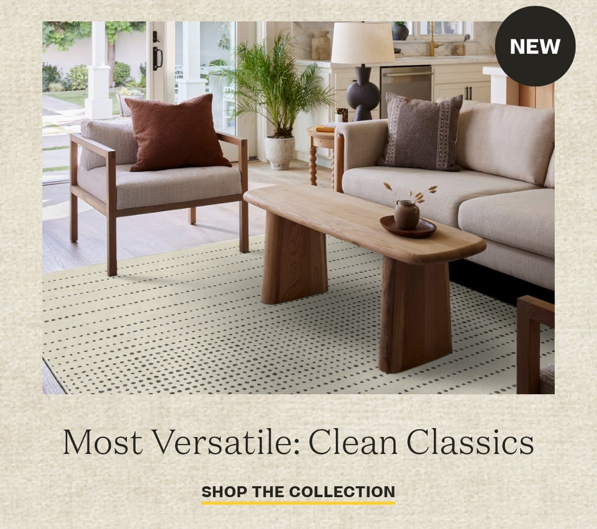 Shop Clean Classics