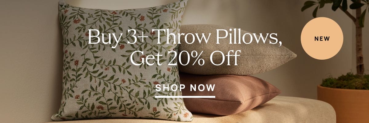 Buy 3+ Throw Pillows, Get 20% Off - Shop Now