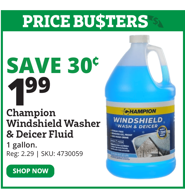 Champion Windshield Washer & Deicer Fluid