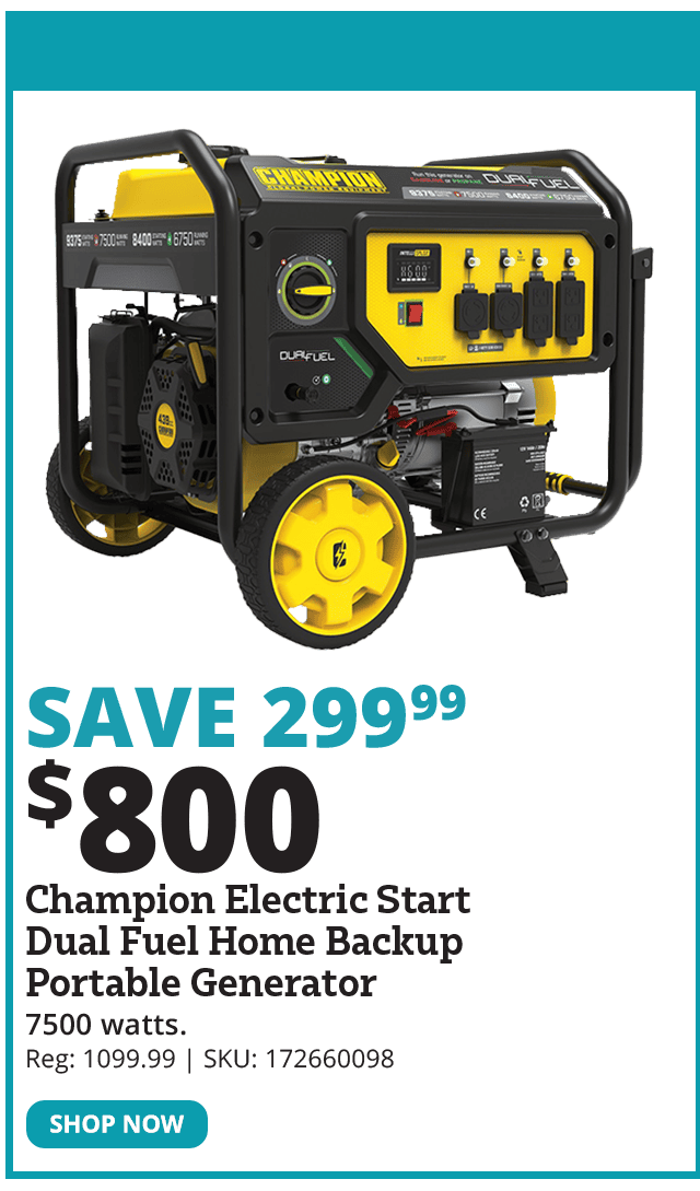 Champion Electric Start Generator