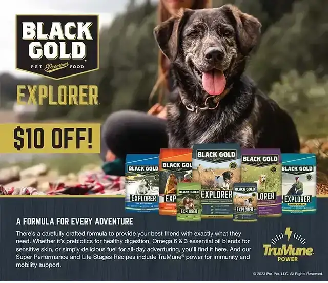 Black Gold Explorer Dog Food