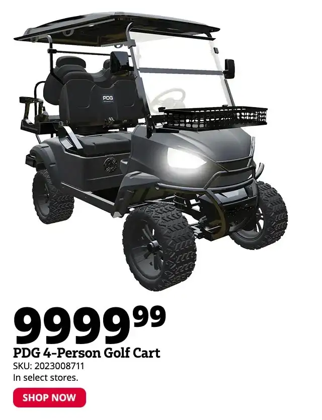 PDG 4-Seater Electric Golf Cart with Front Basket, Matte Black - WH2020ASZ-MBB