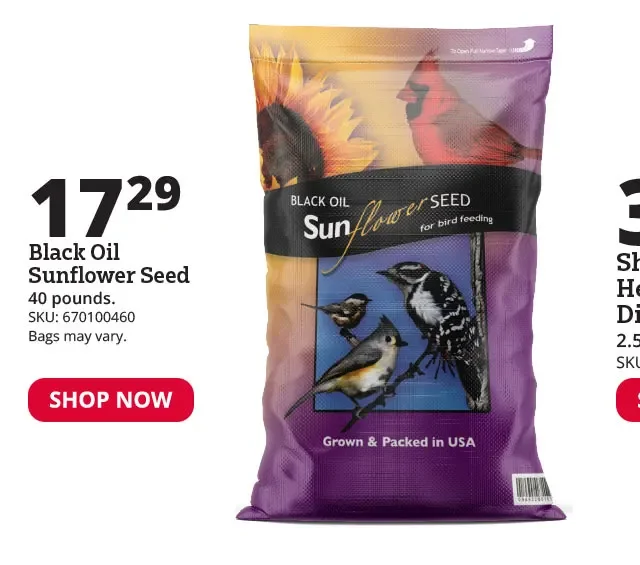 Black Oil Sunflower Seeds, 40 lb. Bag