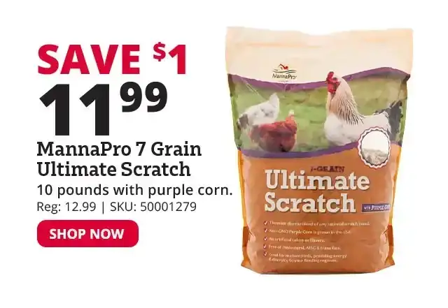 MannaPro 7 Grain Ultimate Scratch with Purple Corn, 10 lb. Bag