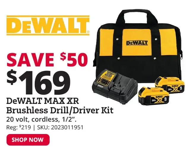 DEWALT® 20V MAX* XR® Brushless Cordless 1/2" Drill/Driver Kit - DCD800P1