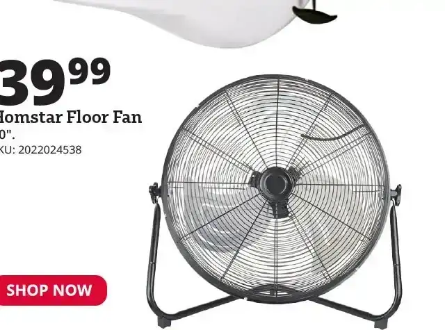 Homstar 20" Floor Fan - FGD-20