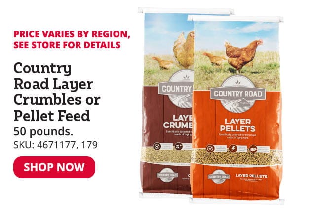 Country Road Layer Crumbles or Pellet Feed 50lb Bag